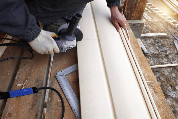 Best Aluminum Siding Installation  in Mantachie, MS